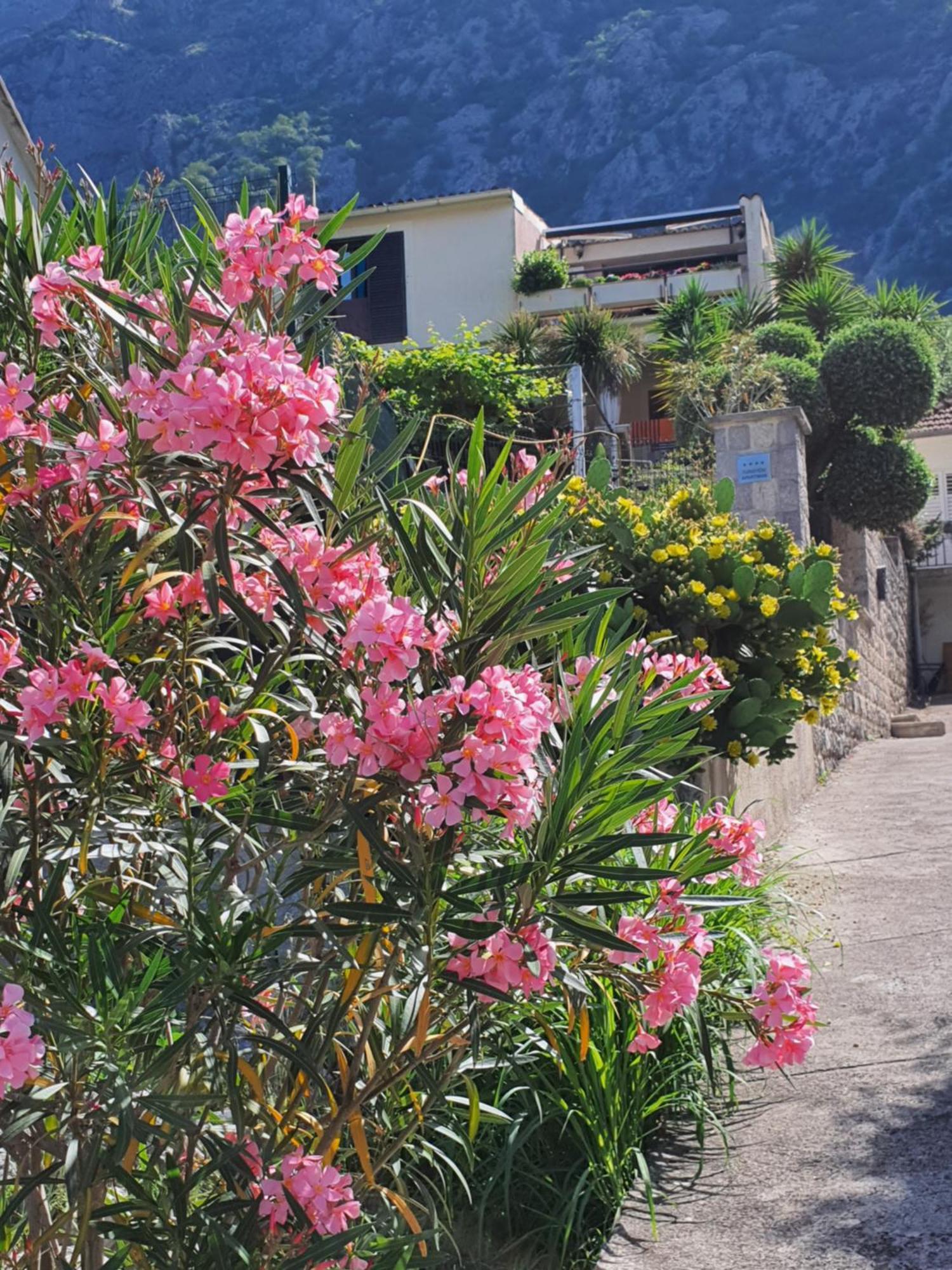 La Grande Apartments Kotor Exterior foto